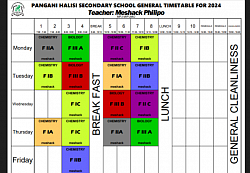 Each teacher timetable